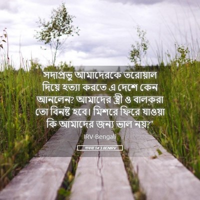 Picture 05 - গননা 14:3 BENIRV - সদাপ্রভু আমাদেরকে - Bible Verse Picture