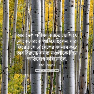 Picture 05 - গননা 14:36 BENIRV - আর দেশ পরীক্ষা - Bible Verse Picture