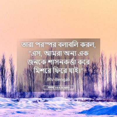 Picture 05 - গননা 14:4 BENIRV - তারা পরস্পর - Bible Verse Picture