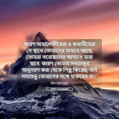 Picture 05 - গননা 14:43 BENIRV - কারণ অমালেকীয়েরা - Bible Verse Picture