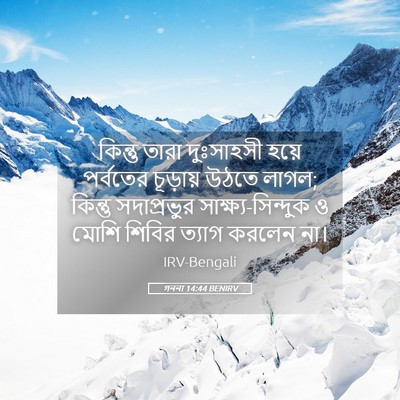 Picture 05 - গননা 14:44 BENIRV - কিন্তু তারা - Bible Verse Picture