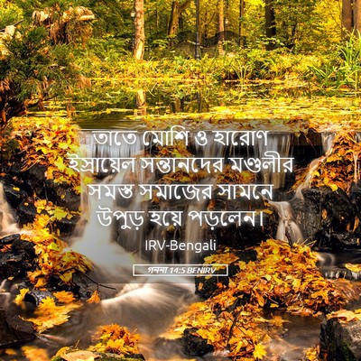 Picture 05 - গননা 14:5 BENIRV - তাতে মোশি ও হারোণ - Bible Verse Picture