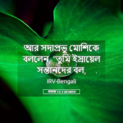 Picture 05 - গননা 15:1 BENIRV - আর সদাপ্রভু - Bible Verse Picture