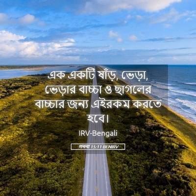Picture 05 - গননা 15:11 BENIRV - এক একটি ষাঁড়, - Bible Verse Picture