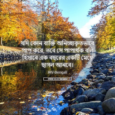 Picture 05 - গননা 15:27 BENIRV - যদি কোন ব্যক্তি - Bible Verse Picture