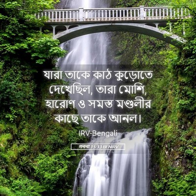 Picture 05 - গননা 15:33 BENIRV - যারা তাকে কাঠ - Bible Verse Picture