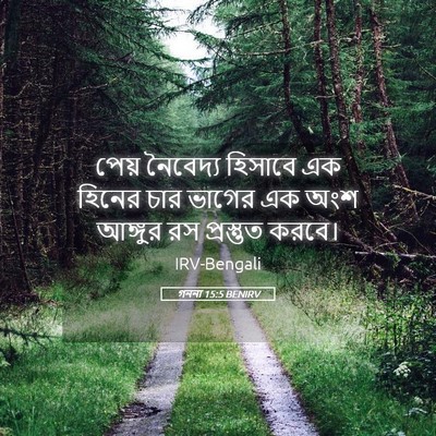 Picture 05 - গননা 15:5 BENIRV - পেয় নৈবেদ্য - Bible Verse Picture