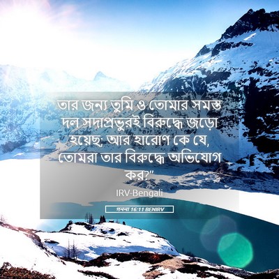 Picture 05 - গননা 16:11 BENIRV - তার জন্য তুমি ও - Bible Verse Picture