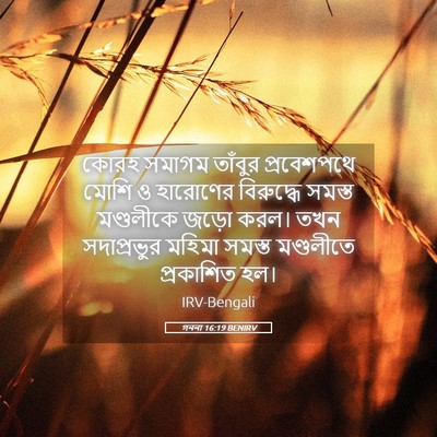 Picture 05 - গননা 16:19 BENIRV - কোরহ সমাগম তাঁবুর - Bible Verse Picture
