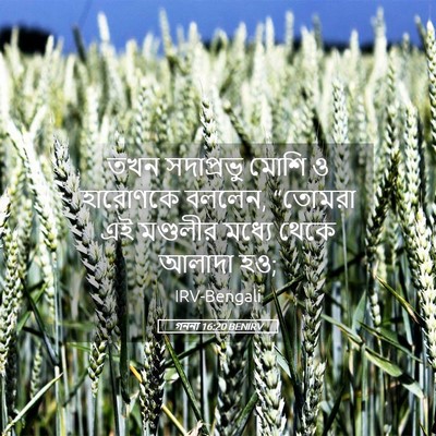 Picture 05 - গননা 16:20 BENIRV - তখন সদাপ্রভু মোশি - Bible Verse Picture