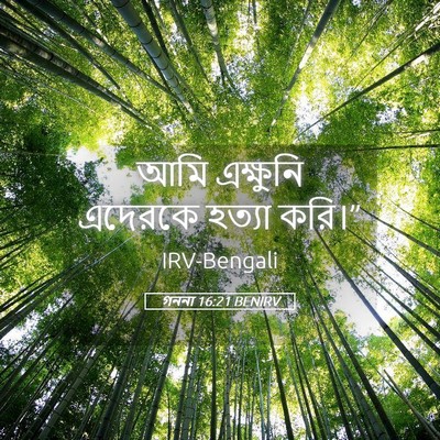Picture 05 - গননা 16:21 BENIRV - আমি এক্ষুনি - Bible Verse Picture