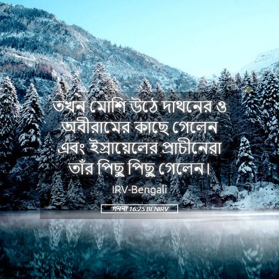 Picture 05 - গননা 16:25 BENIRV - তখন মোশি উঠে - Bible Verse Picture