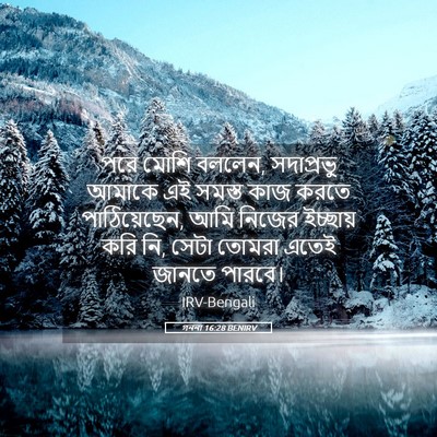 Picture 05 - গননা 16:28 BENIRV - পরে মোশি বললেন, - Bible Verse Picture