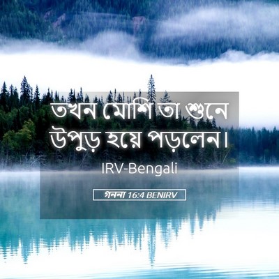 Picture 05 - গননা 16:4 BENIRV - তখন মোশি তা শুনে - Bible Verse Picture