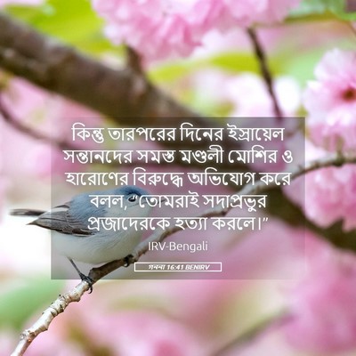 Picture 05 - গননা 16:41 BENIRV - কিন্তু তারপরের - Bible Verse Picture