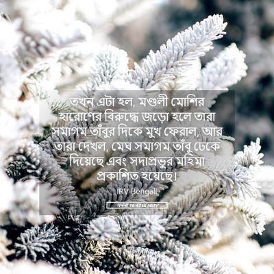 Picture 05 - গননা 16:42 BENIRV - তখন এটা হল, মণ্ডলী - Bible Verse Picture