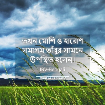 Picture 05 - গননা 16:43 BENIRV - তখন মোশি ও হারোণ - Bible Verse Picture