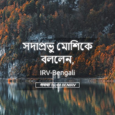 Picture 05 - গননা 16:44 BENIRV - সদাপ্রভু মোশিকে - Bible Verse Picture