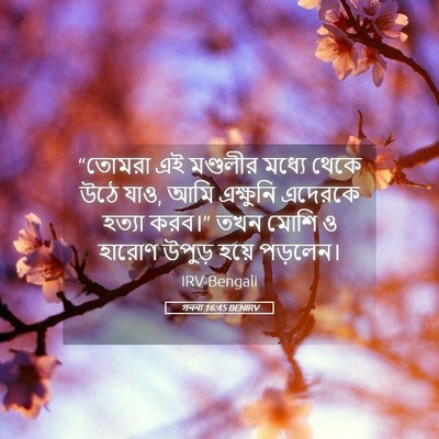 Picture 05 - গননা 16:45 BENIRV - “তোমরা এই মণ্ডলীর - Bible Verse Picture