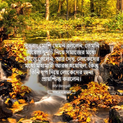 Picture 05 - গননা 16:47 BENIRV - সুতরাং মোশি যেমন - Bible Verse Picture