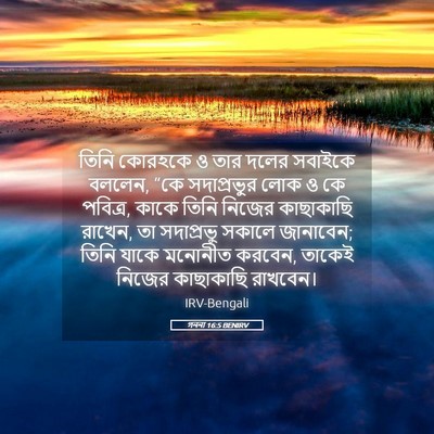 Picture 05 - গননা 16:5 BENIRV - তিনি কোরহকে ও তার - Bible Verse Picture
