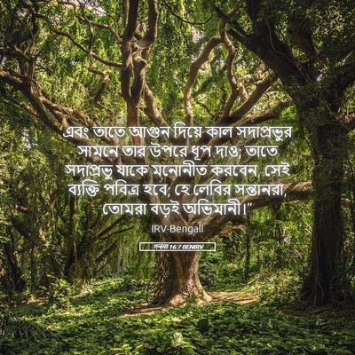 Picture 05 - গননা 16:7 BENIRV - এবং তাতে আগুন - Bible Verse Picture