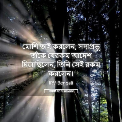 Picture 05 - গননা 17:11 BENIRV - মোশি তাই করলেন; - Bible Verse Picture