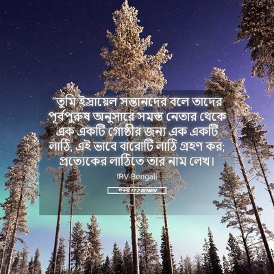 Picture 05 - গননা 17:2 BENIRV - “তুমি ইস্রায়েল - Bible Verse Picture