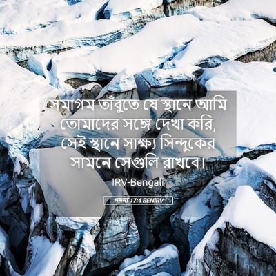 Picture 05 - গননা 17:4 BENIRV - সমাগম তাঁবুতে যে - Bible Verse Picture