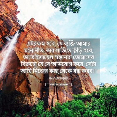 Picture 05 - গননা 17:5 BENIRV - এইরকম হবে, যে - Bible Verse Picture