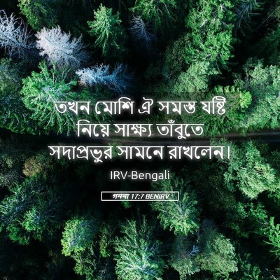 Picture 05 - গননা 17:7 BENIRV - তখন মোশি ঐ সমস্ত - Bible Verse Picture