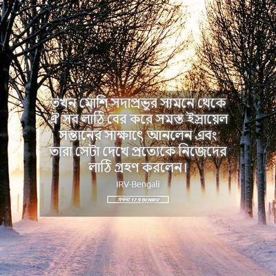 Picture 05 - গননা 17:9 BENIRV - তখন মোশি - Bible Verse Picture