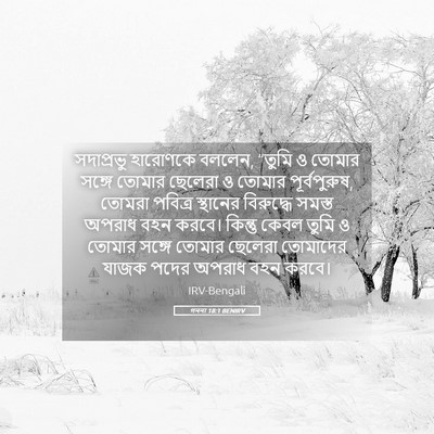 Picture 05 - গননা 18:1 BENIRV - সদাপ্রভু হারোণকে - Bible Verse Picture