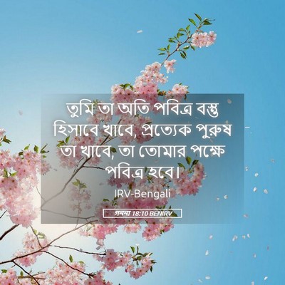 Picture 05 - গননা 18:10 BENIRV - তুমি তা অতি পবিত্র - Bible Verse Picture