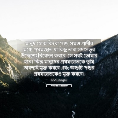 Picture 05 - গননা 18:15 BENIRV - মানুষ হোক কিংবা - Bible Verse Picture