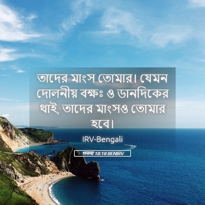 Picture 05 - গননা 18:18 BENIRV - তাদের মাংস তোমার। - Bible Verse Picture