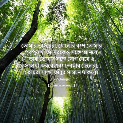 Picture 05 - গননা 18:2 BENIRV - তোমার ভাইয়েরা, যে - Bible Verse Picture