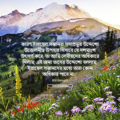 Picture 05 - গননা 18:24 BENIRV - কারণ ইস্রায়েল - Bible Verse Picture