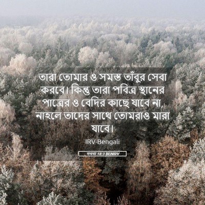 Picture 05 - গননা 18:3 BENIRV - তারা তোমার ও সমস্ত - Bible Verse Picture