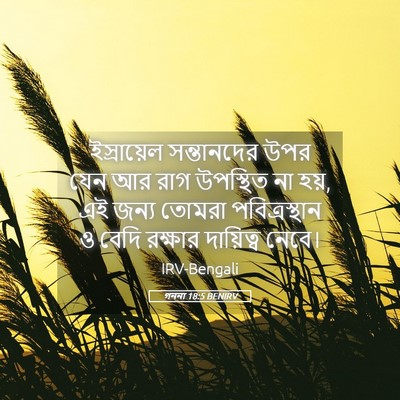 Picture 05 - গননা 18:5 BENIRV - ইস্রায়েল - Bible Verse Picture