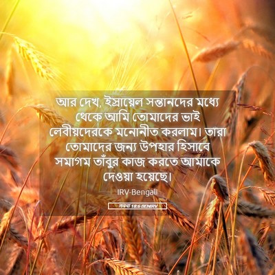 Picture 05 - গননা 18:6 BENIRV - আর দেখ, ইস্রায়েল - Bible Verse Picture