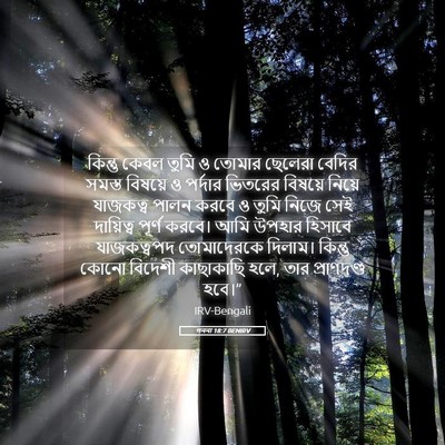 Picture 05 - গননা 18:7 BENIRV - কিন্তু কেবল তুমি ও - Bible Verse Picture