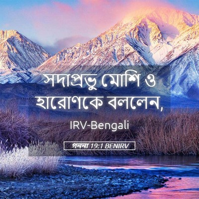 Picture 05 - গননা 19:1 BENIRV - সদাপ্রভু মোশি ও - Bible Verse Picture