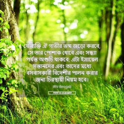 Picture 05 - গননা 19:10 BENIRV - যে ব্যক্তি ঐ গাভীর - Bible Verse Picture