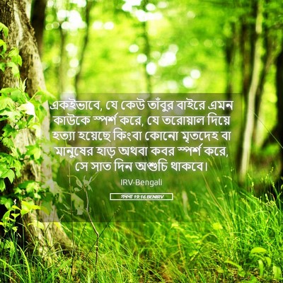 Picture 05 - গননা 19:16 BENIRV - একইভাবে, যে কেউ - Bible Verse Picture