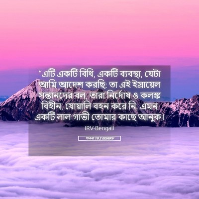 Picture 05 - গননা 19:2 BENIRV - “এটি একটি বিধি, - Bible Verse Picture