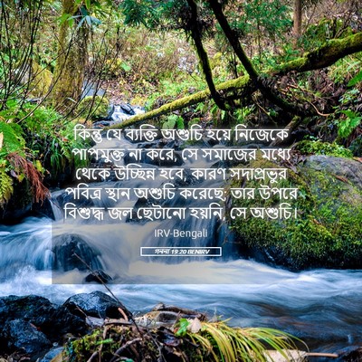 Picture 05 - গননা 19:20 BENIRV - কিন্তু যে ব্যক্তি - Bible Verse Picture