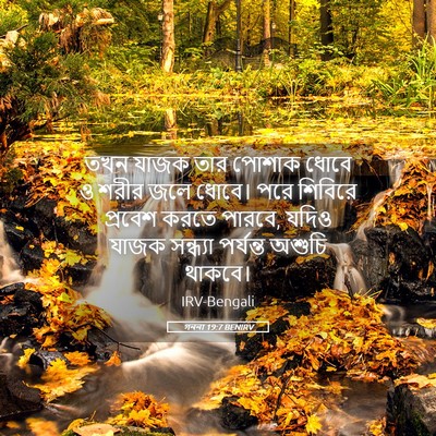 Picture 05 - গননা 19:7 BENIRV - তখন যাজক তার পোশাক - Bible Verse Picture