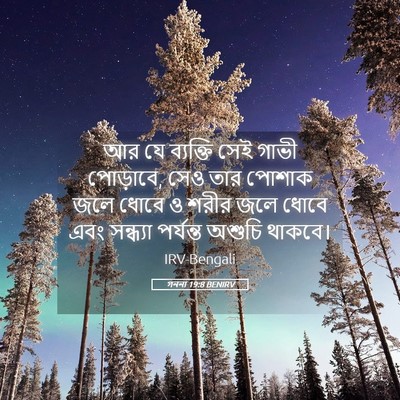 Picture 05 - গননা 19:8 BENIRV - আর যে ব্যক্তি সেই - Bible Verse Picture