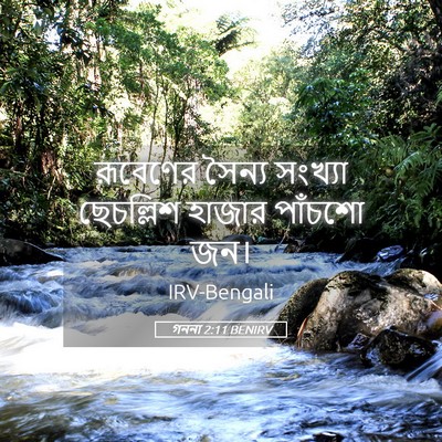 Picture 05 - গননা 2:11 BENIRV - রূবেণের সৈন্য - Bible Verse Picture